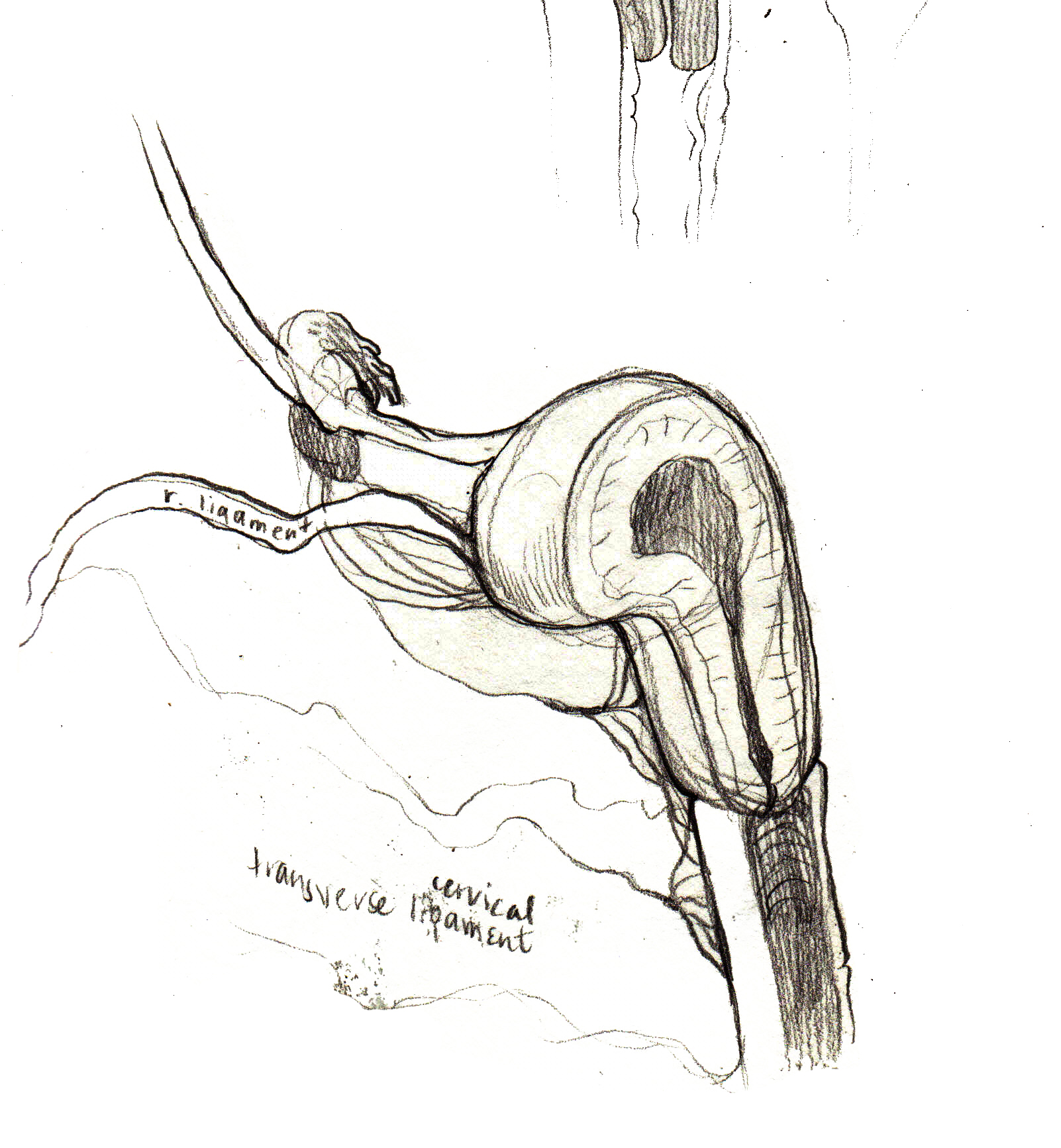 MSC2003_originalSculpt_A_preliminarysketch2.jpg