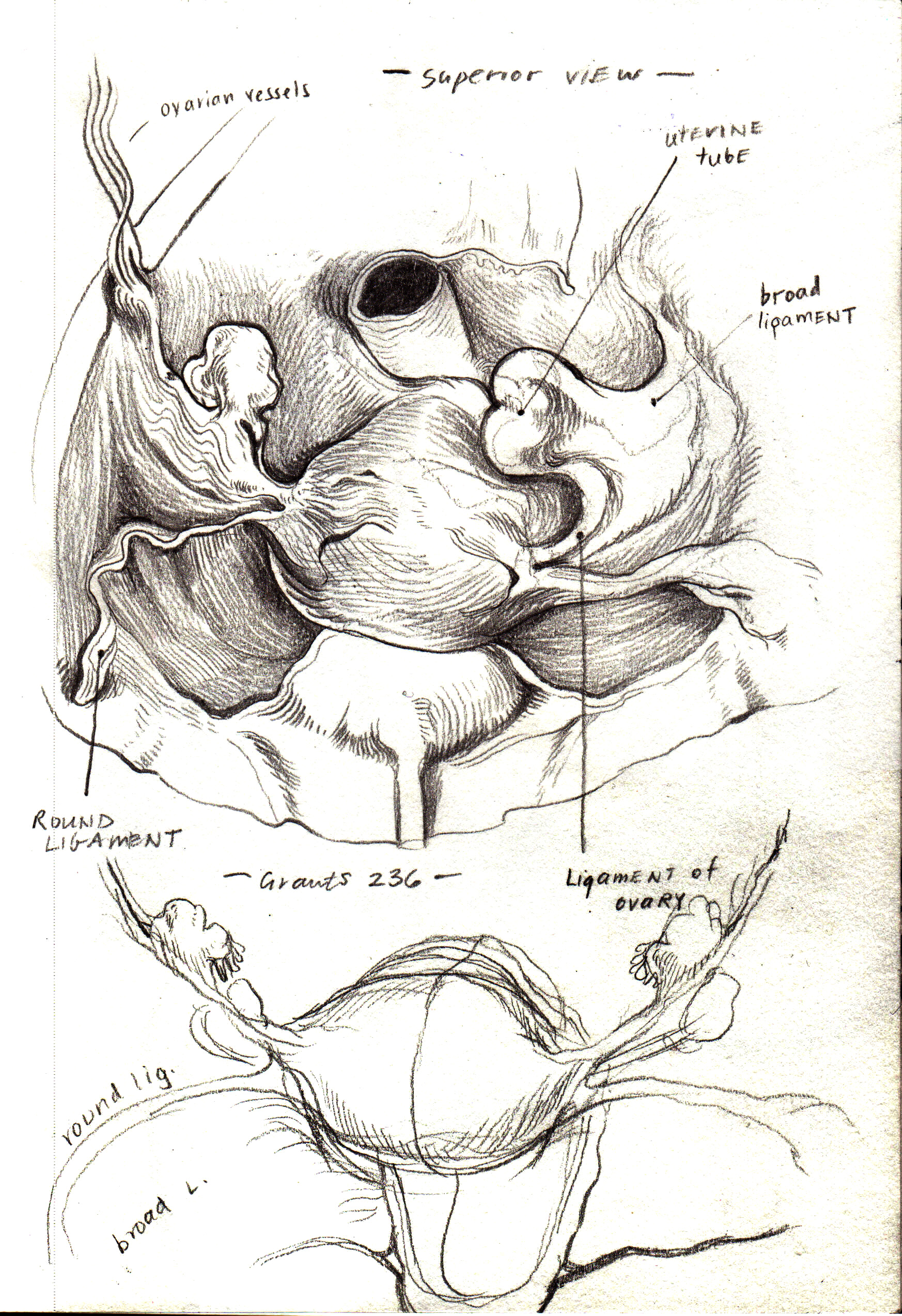 MSC2003_originalSculpt_A_preliminarysketch3.jpg