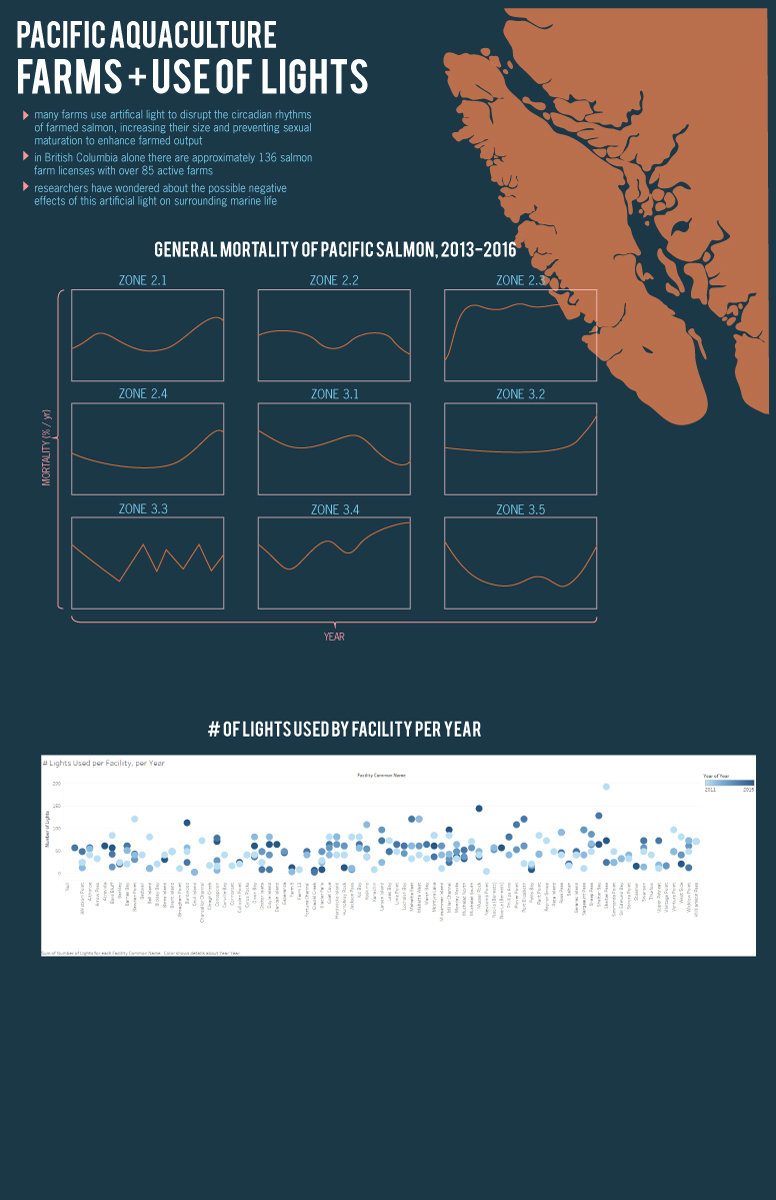 MSC2003_dataVisualization_C_colourStudy4.jpg
