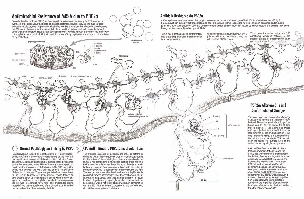 MSC2020_molecularIllustration_B_layout2.jpg