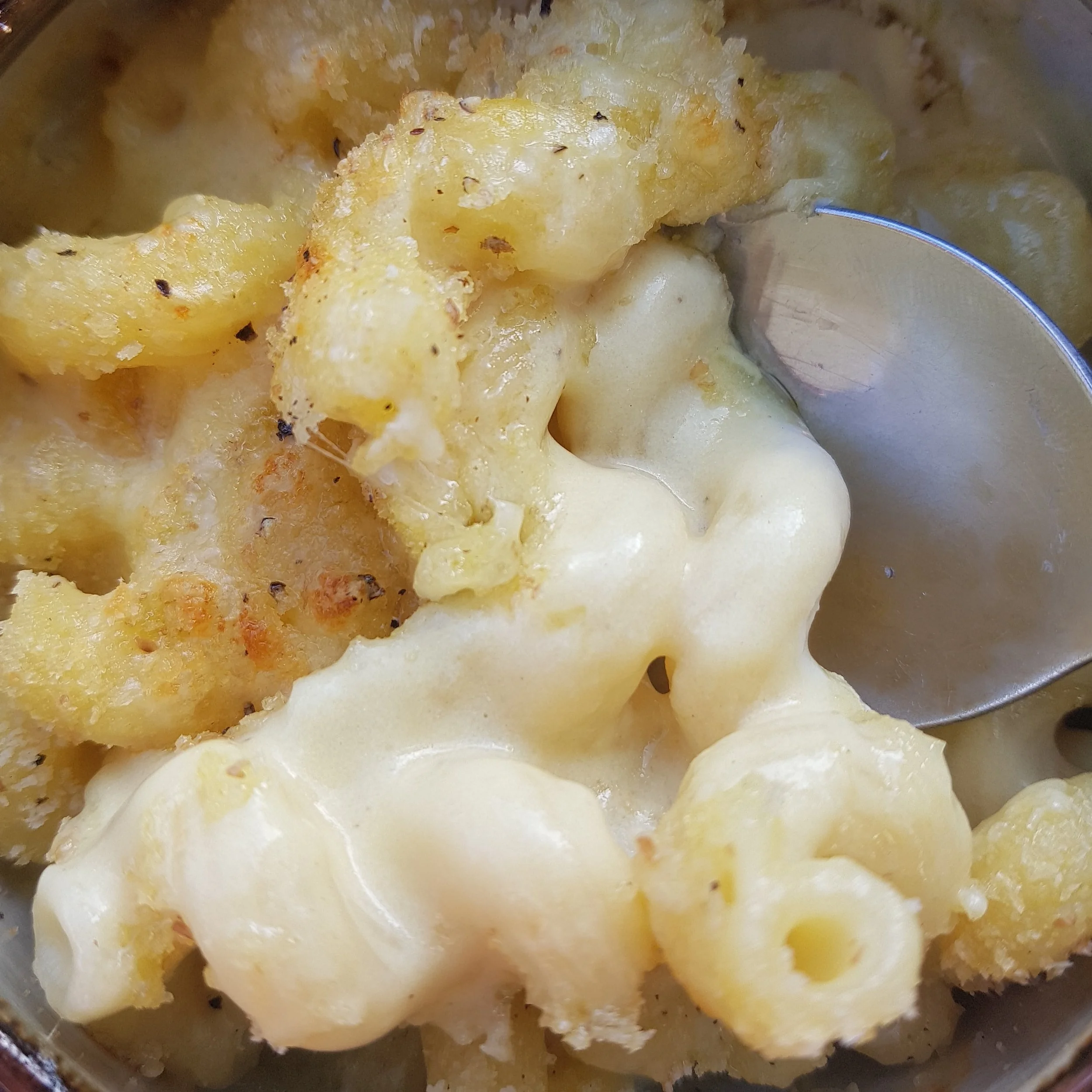 White Wine Mac and Cheese 