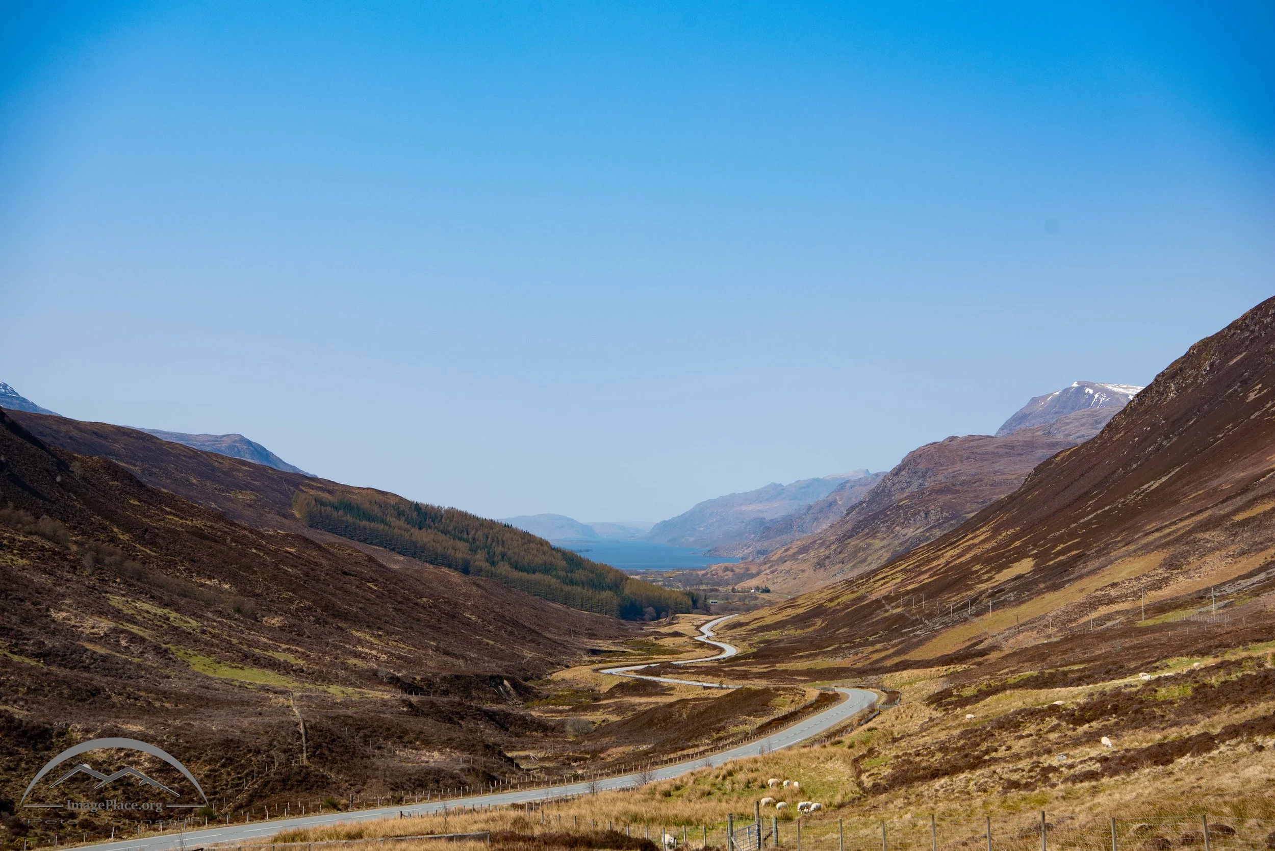 The Long and Winding Road