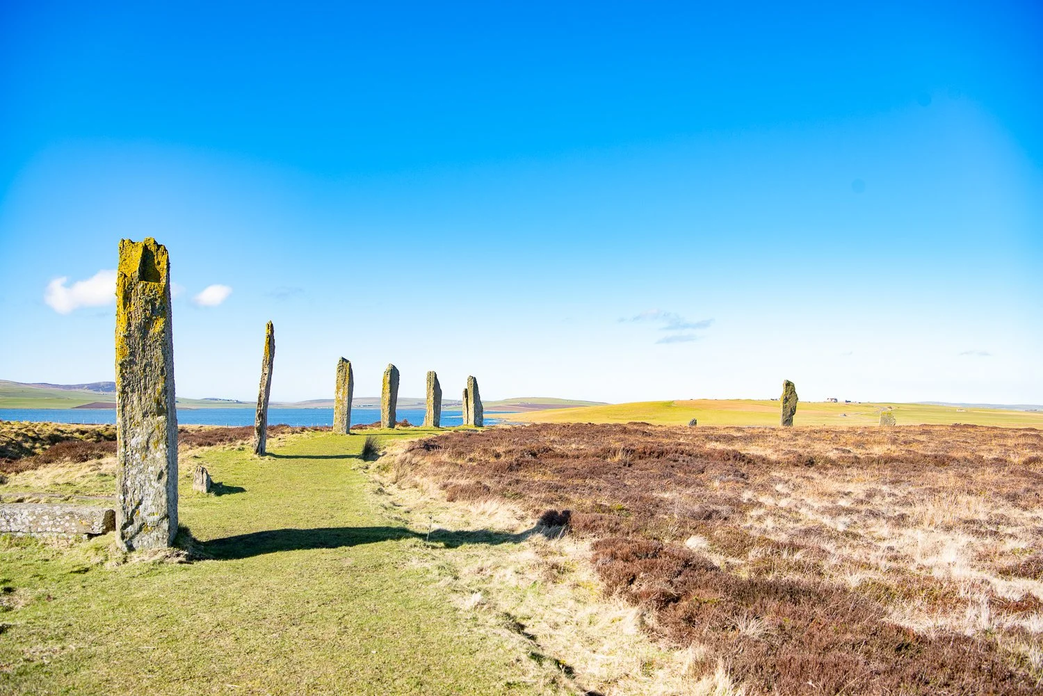 Ring of Brodgar #4
