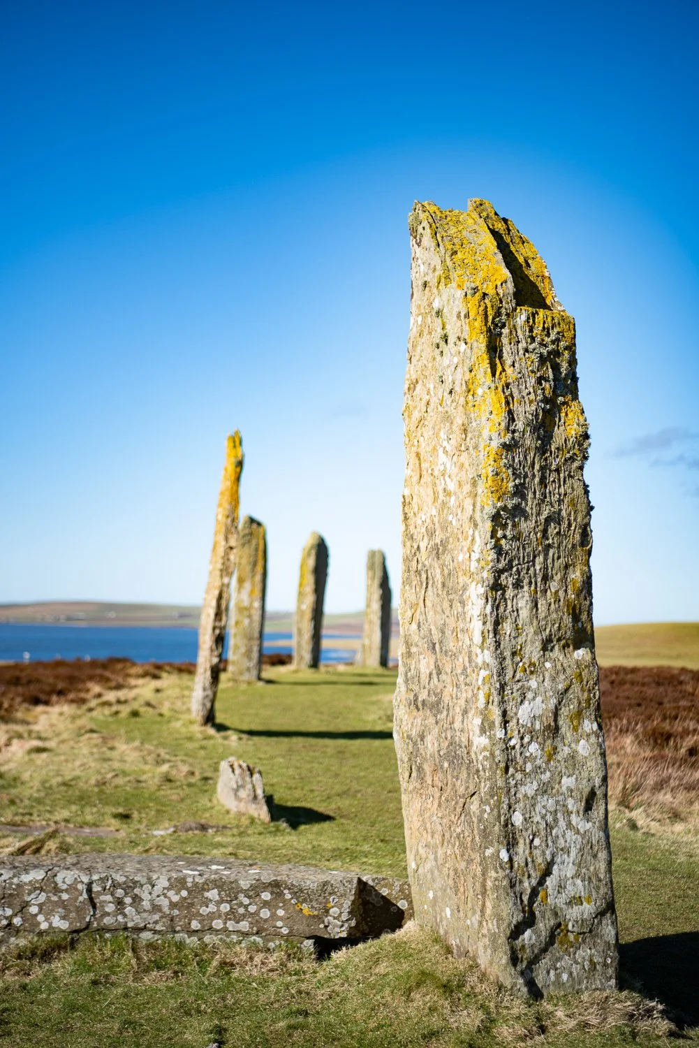 Ring of Brodgar #3