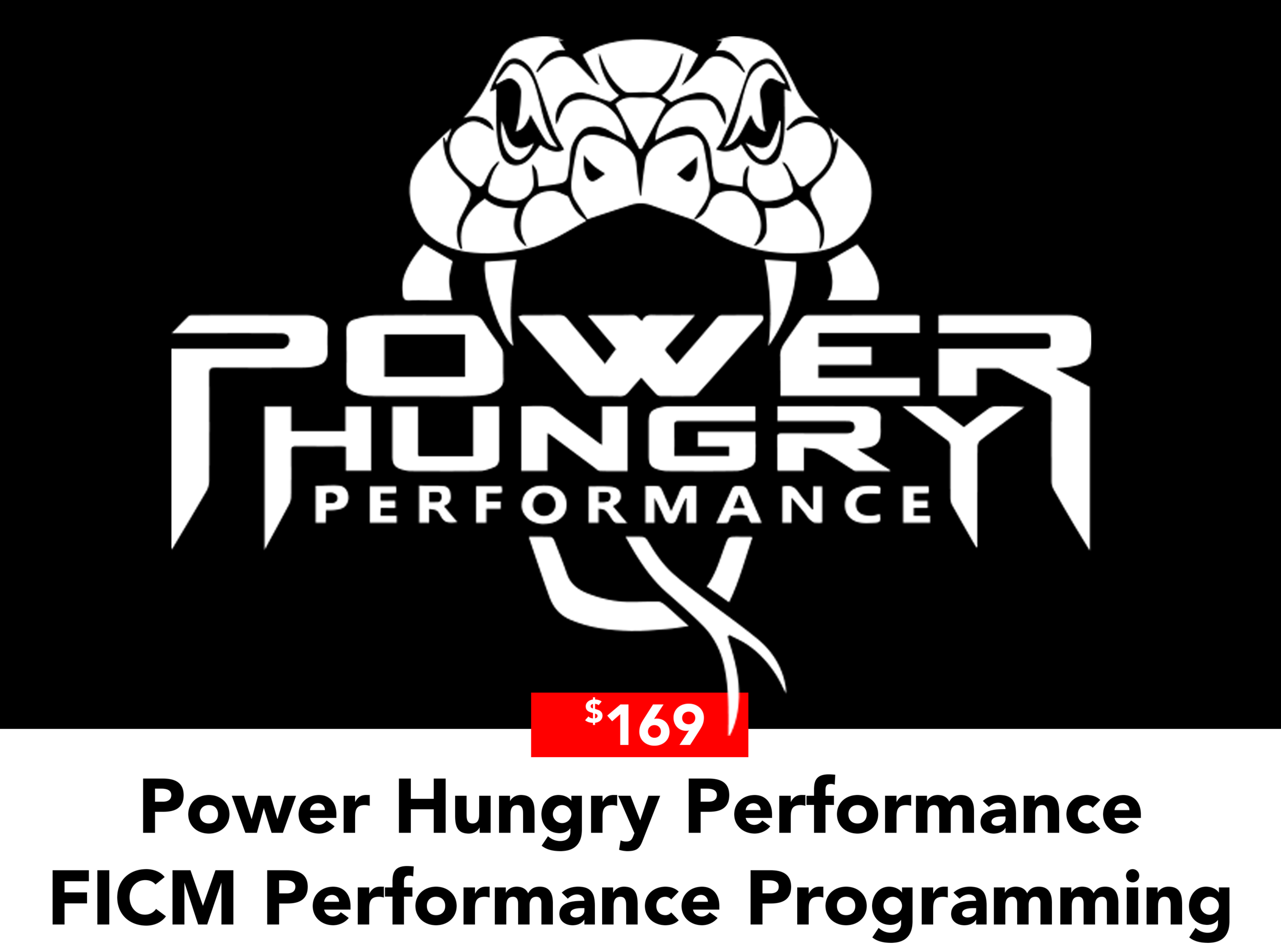 Fuel Injection Control Module Performance Programming
