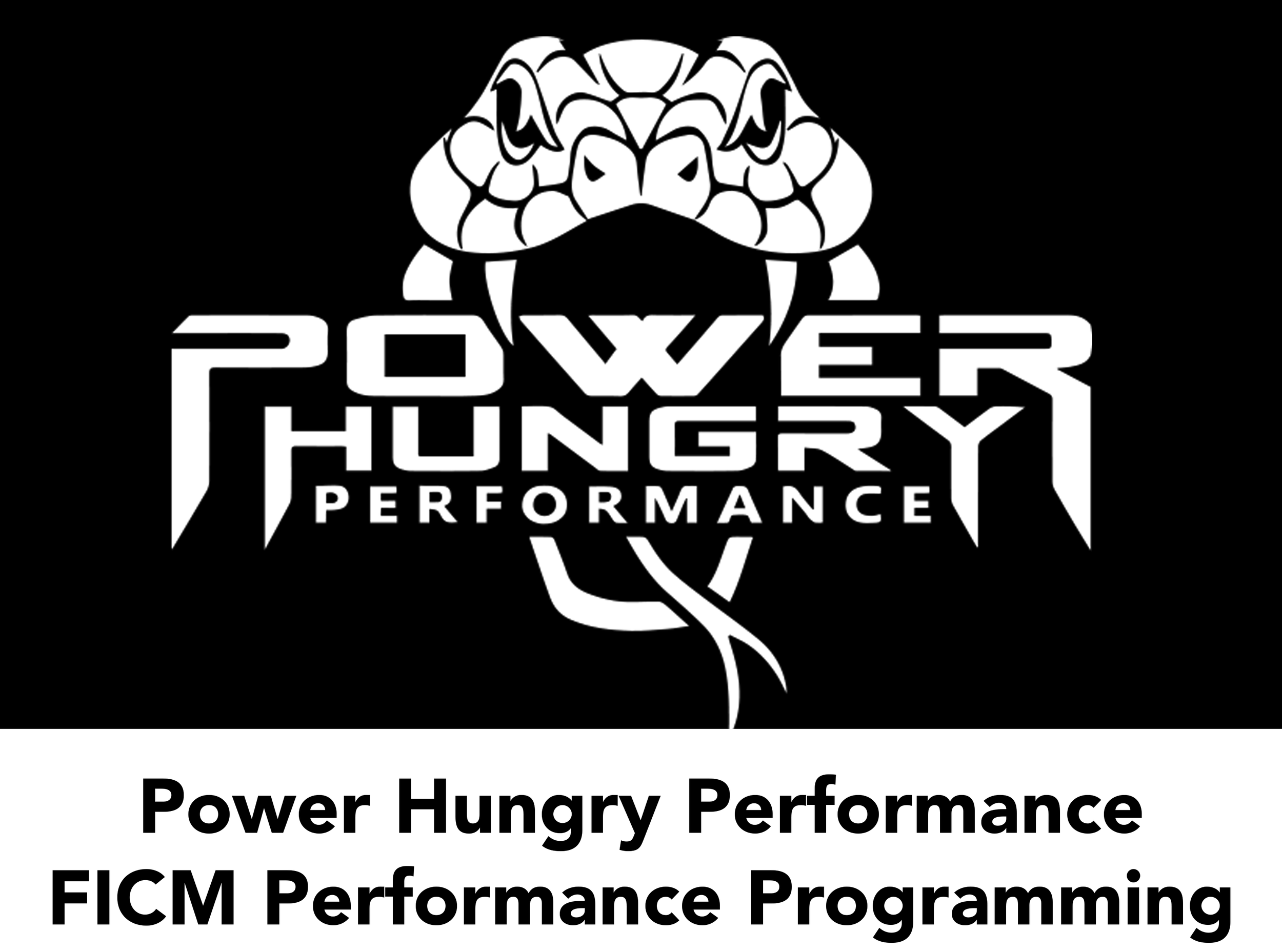 Fuel Injection Control Module Performance Programming