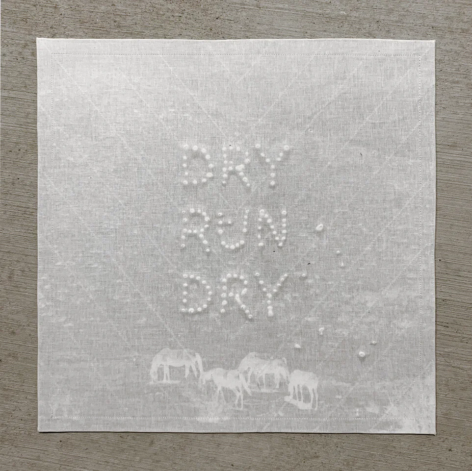 Nick Larsen_QMDRD.jpeg