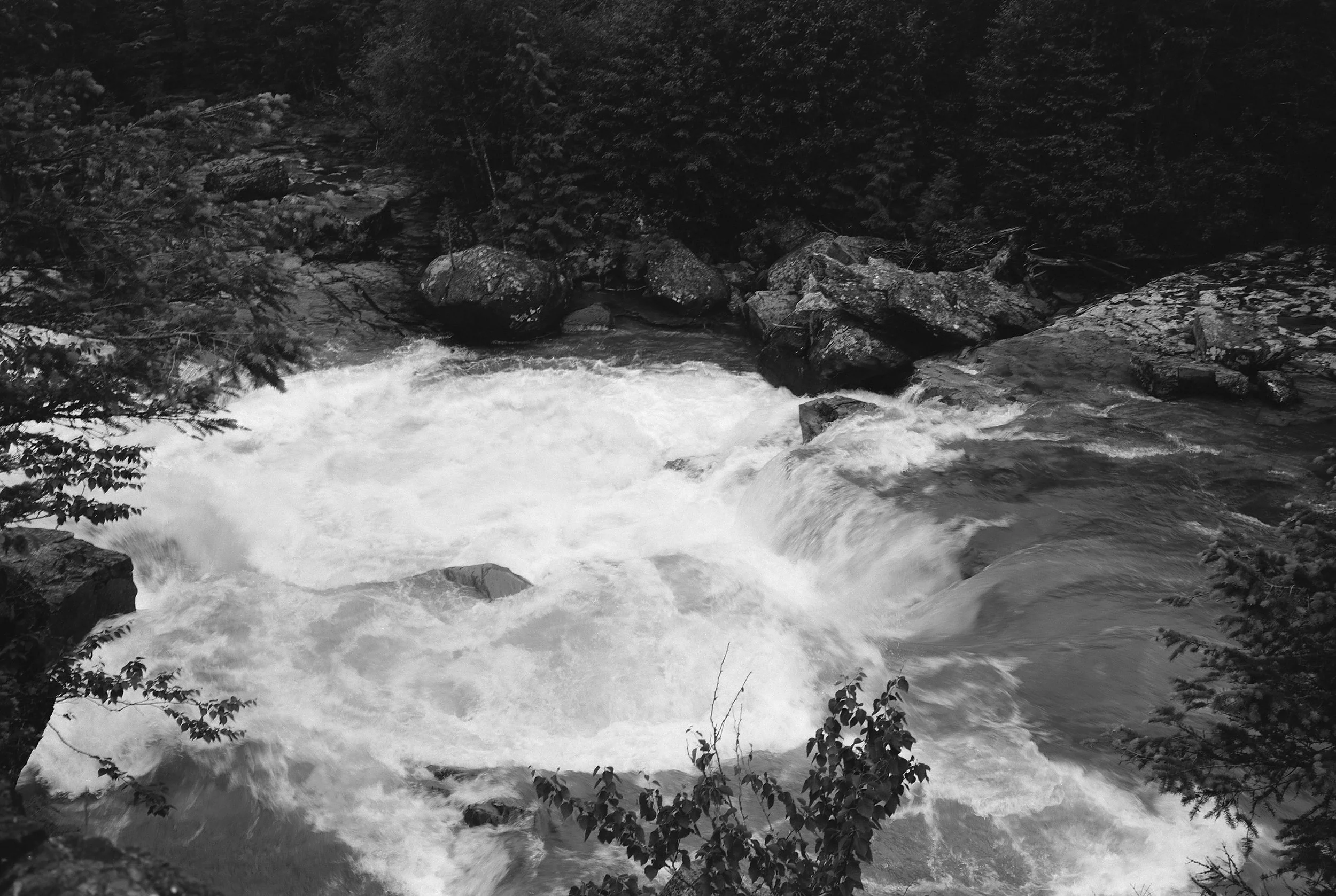 Kayla Suzanne Holdgreve