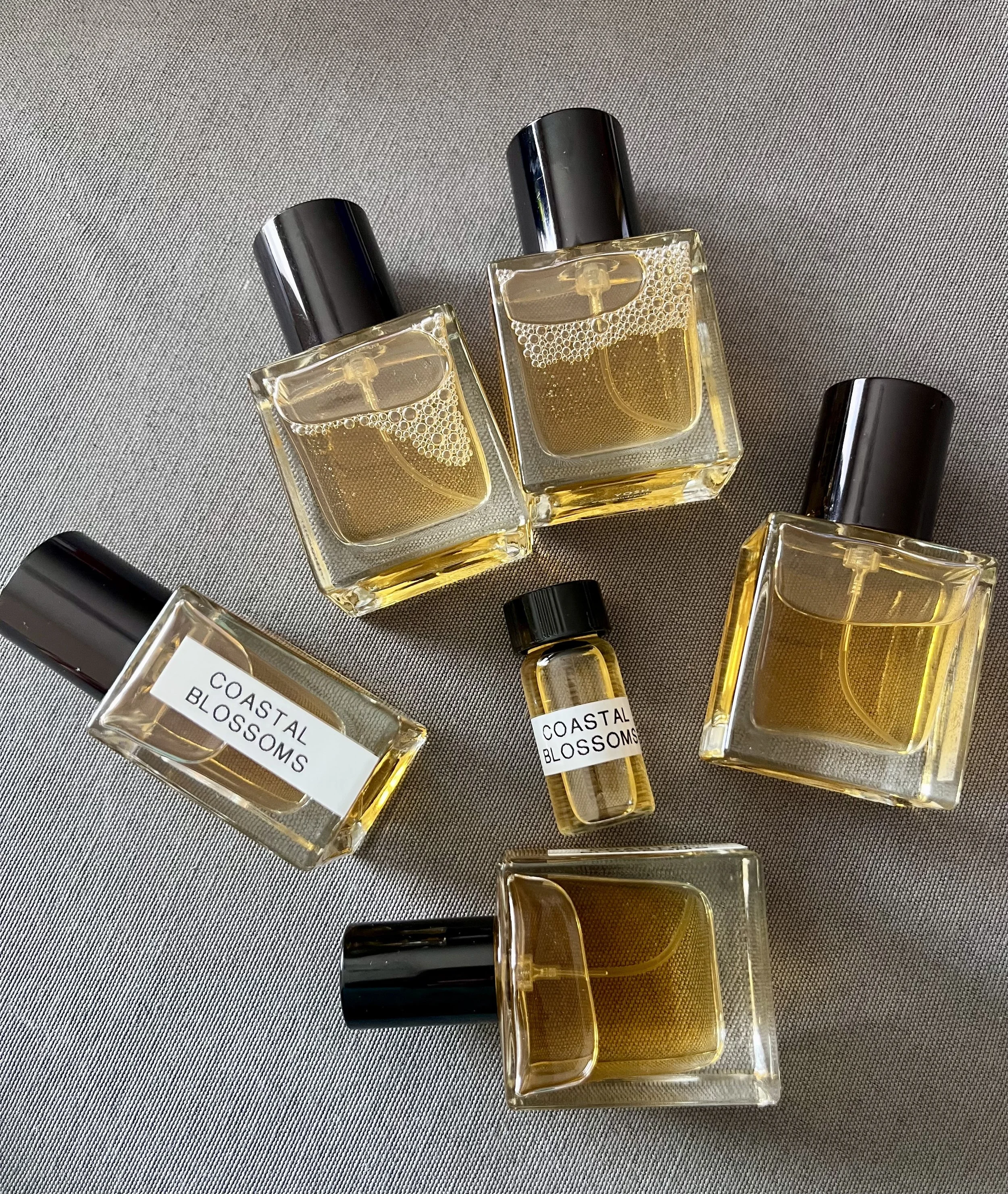 coastal blossoms.jpeg