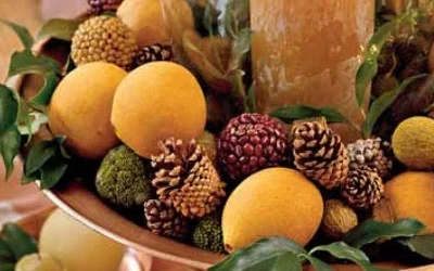 orange-pinecones.jpg