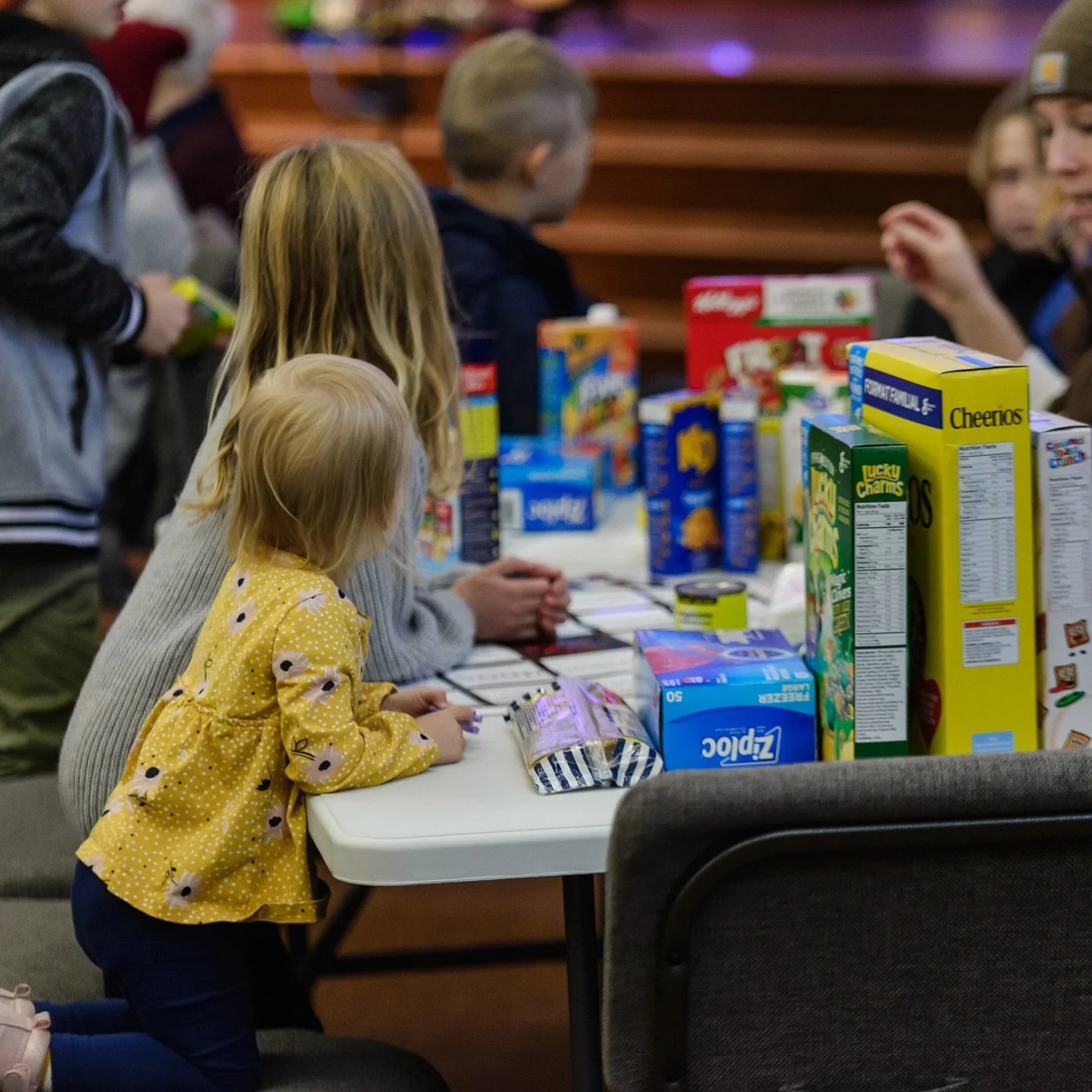 Since 2023 the Cedar Valley Community Cupboard has been a barrier-free, 24/7 access resource for emergency food and personal supplies run by the support of neighbours like you!

We have a storage area with supplies to stock the cupboard and provide b