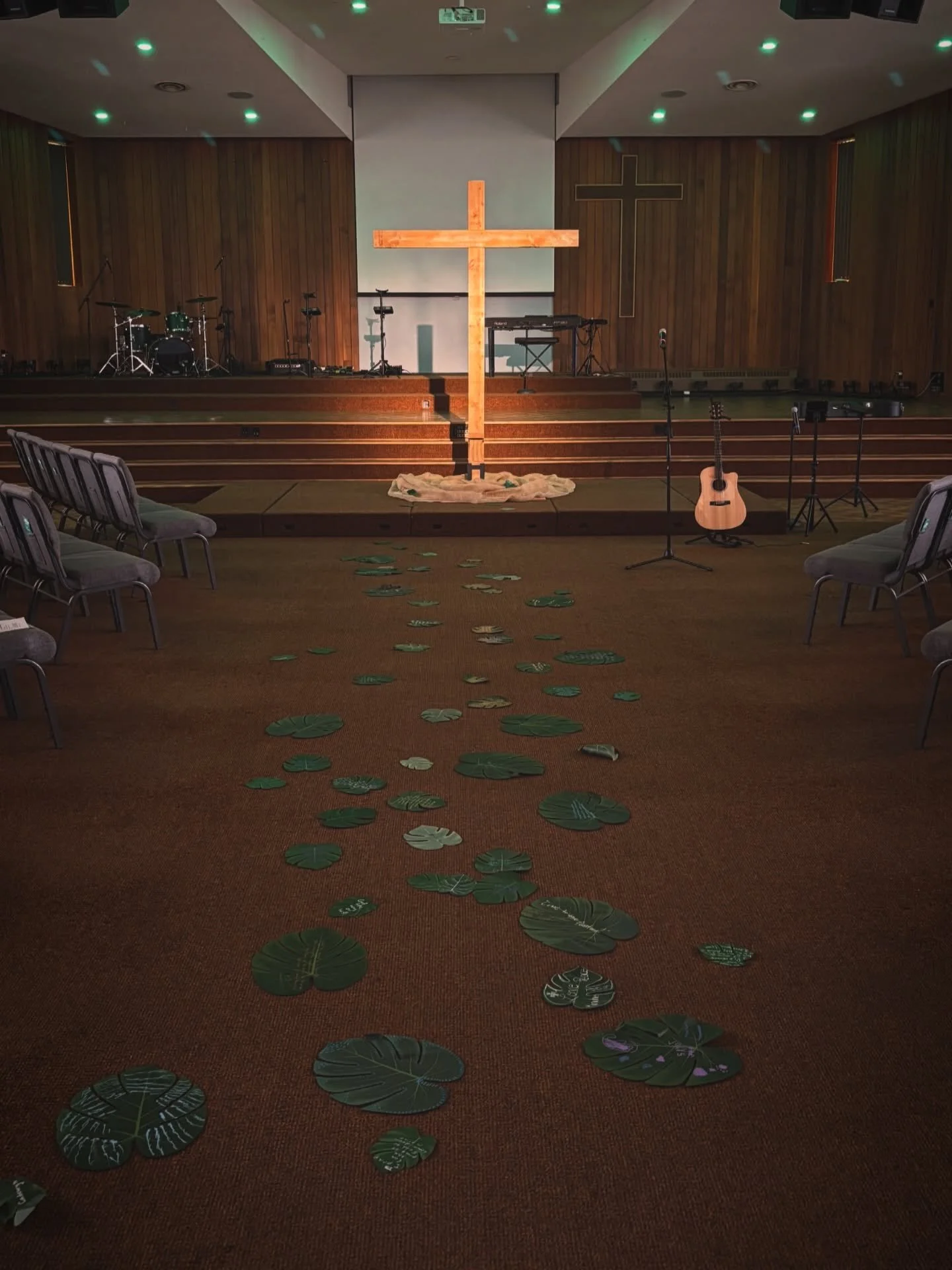 &ldquo;The crowds spread their coats on the road while other cut branches and leafs and laid them down. Jesus was in the center of the procession, and people all around Him were shouting: &lsquo;Hosanna to the Son of David! Blessed is He who comes in