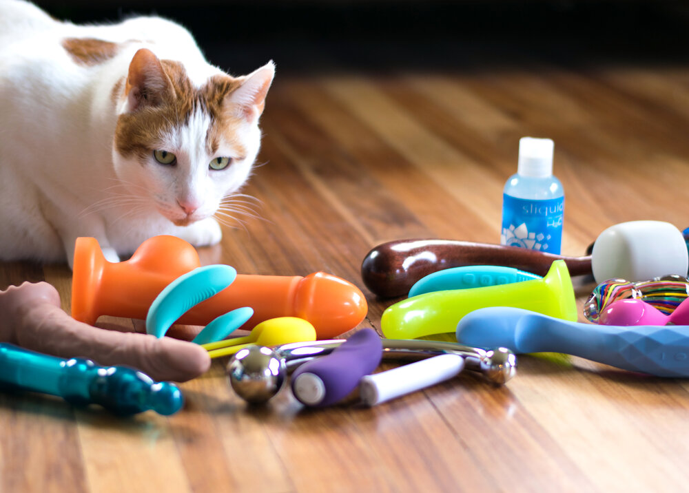 cat-with-sex-toys-epiphora.jpg