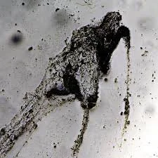 Meltdown by Colliding Scopes