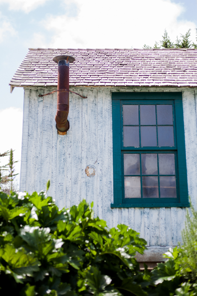 Cannery Row, Monterey