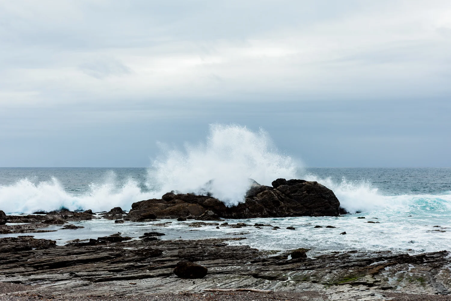 Tide Pools, Point Lobos State National Reserve