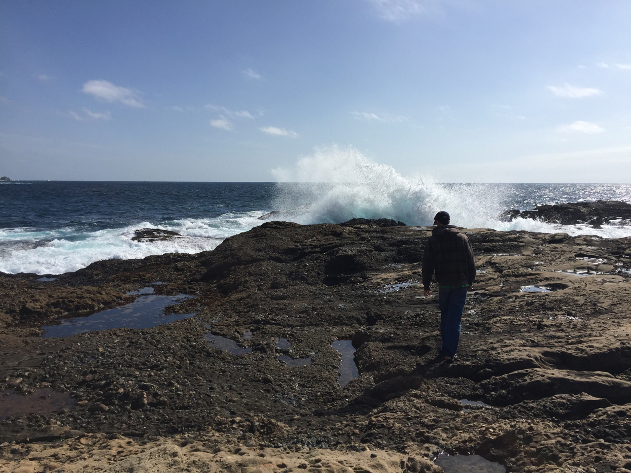 Tide Pools, Point Lobos State National Reserve