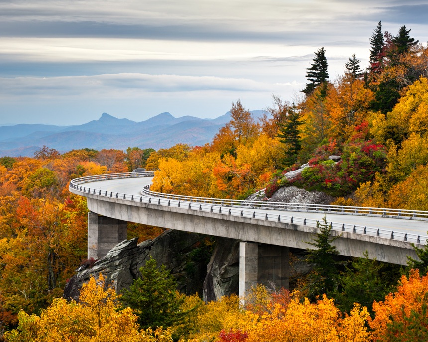 gallery-viaduct-in-yellow-fall.jpg