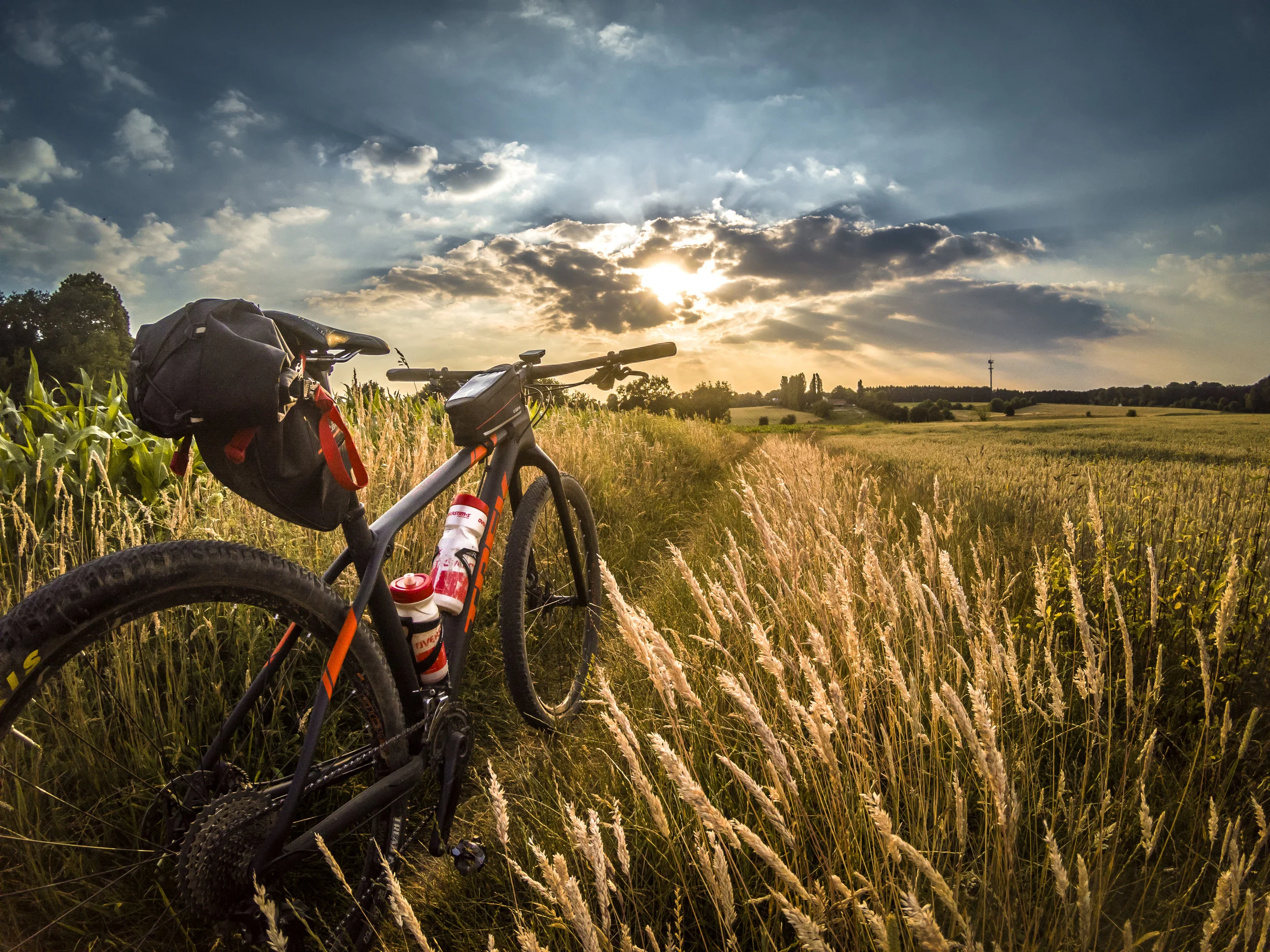 Pedal in some dirt!