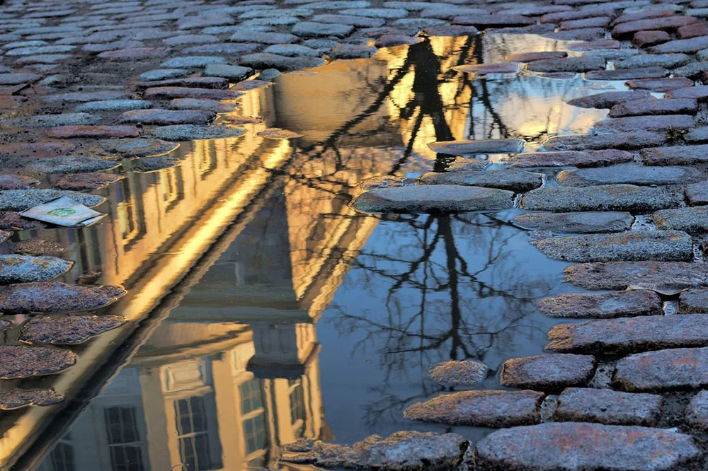 Trapped 9.jpg
