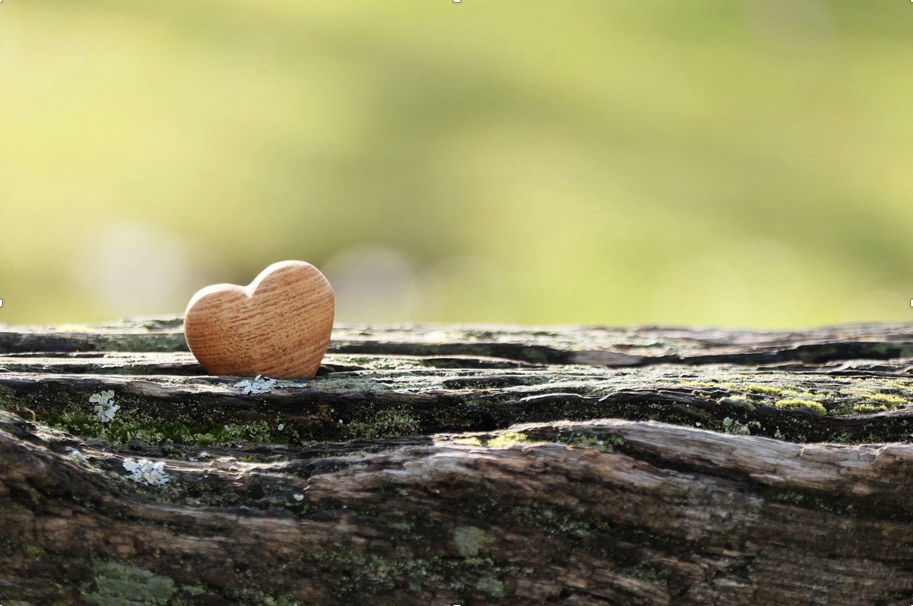 Do You Care? Here’s How