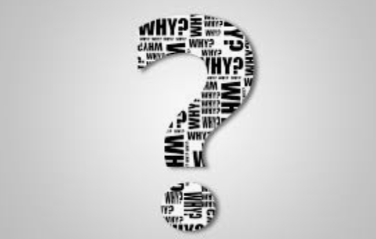 Screen Shot 2020-08-21 at 11.18.26 AM.png