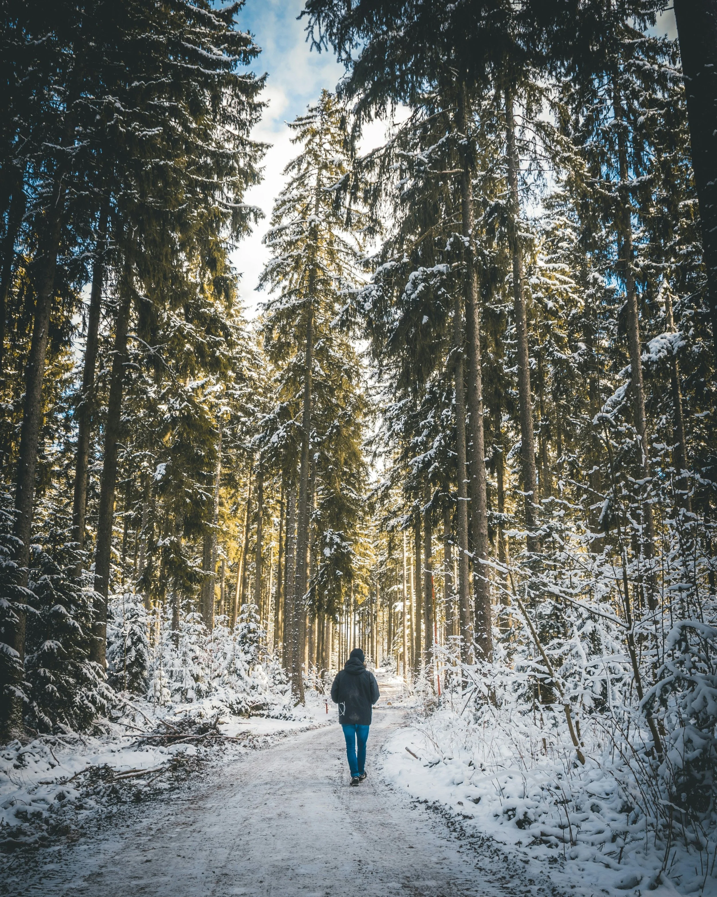 sven-vee-A8oRmPiPAg4-unsplash.jpg