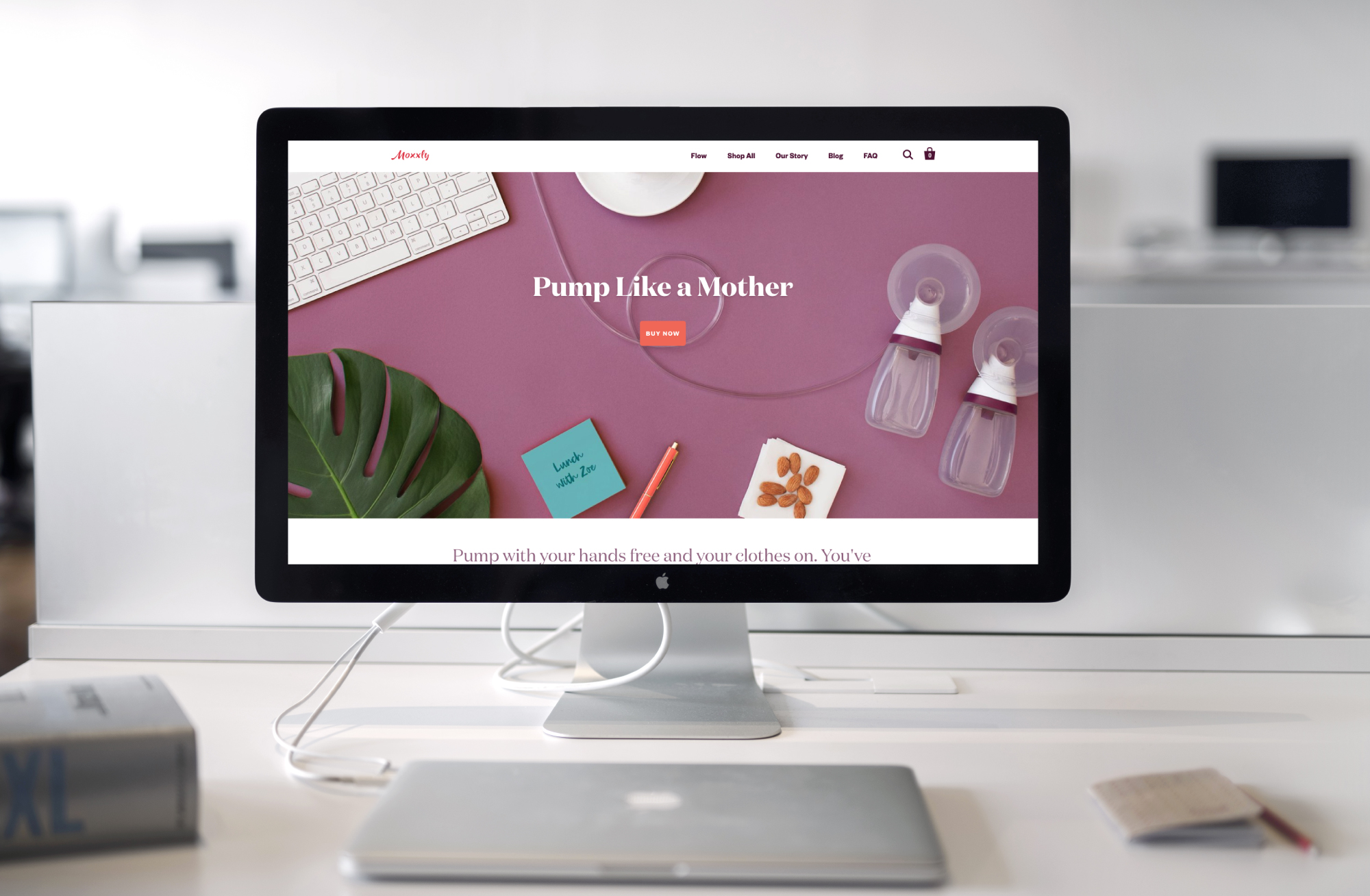 moxxly.com - Launch December 2018