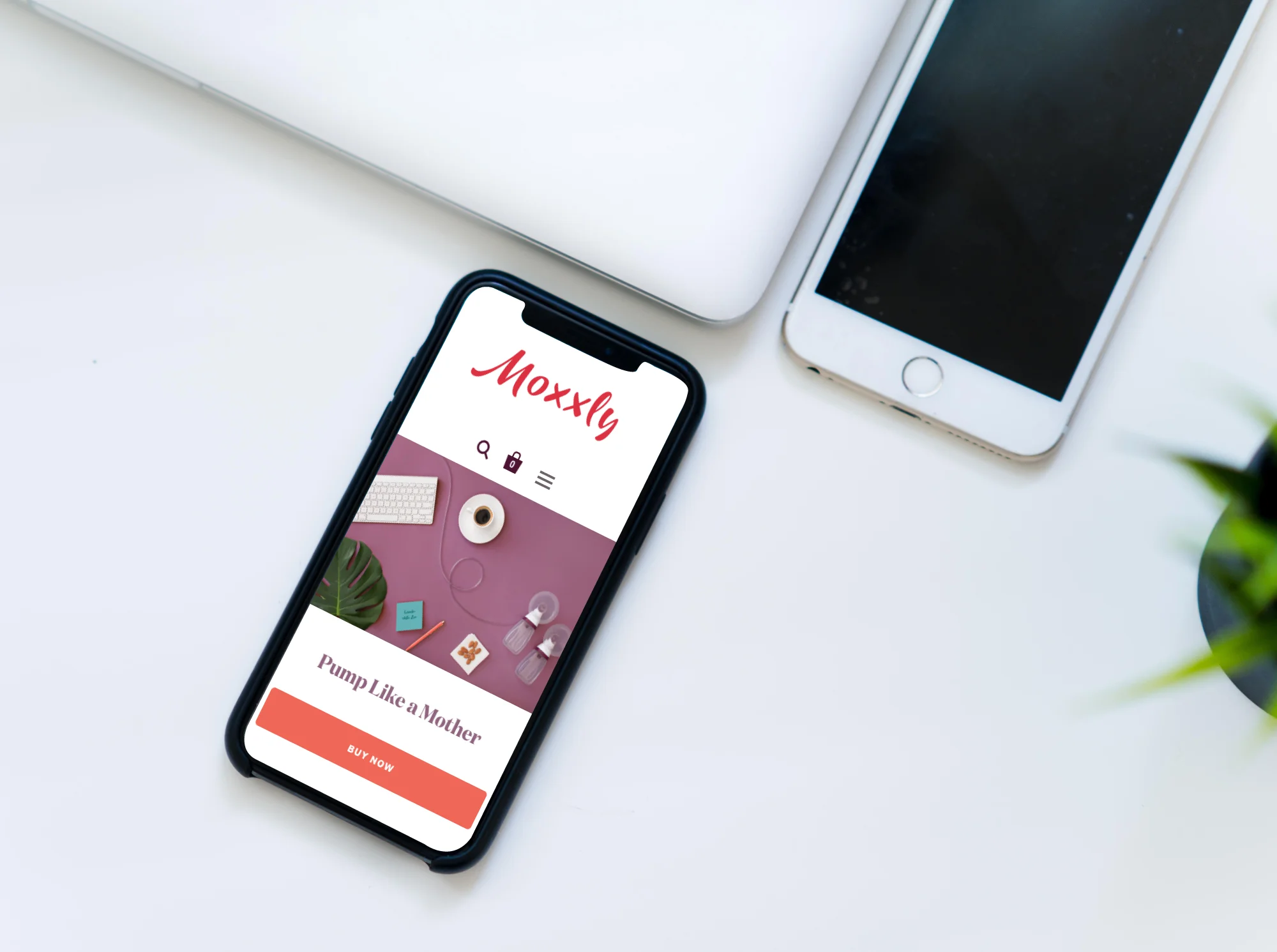 moxxly.com - Launch December 2018