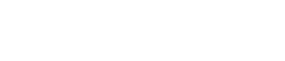 Bambi & Birdie Pajama Co. logo with handwritten script font on black background.
