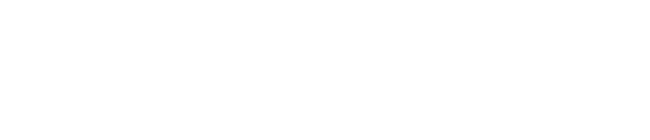 Logo with a raccoon face icon and the text 'Leelou Lollipop' in stylized font.