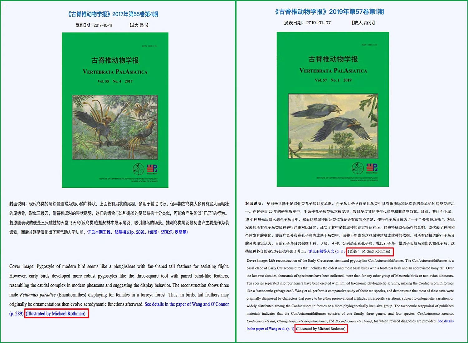Cover illustrations for Volumes 55 and 57 of Vertebrata Palasiatica , Institute of Vertebrate Paleontology and PaleoAnthropology (IVPP), China. Illustrations prepared fro Dr. Jingmai K. O’Connor.