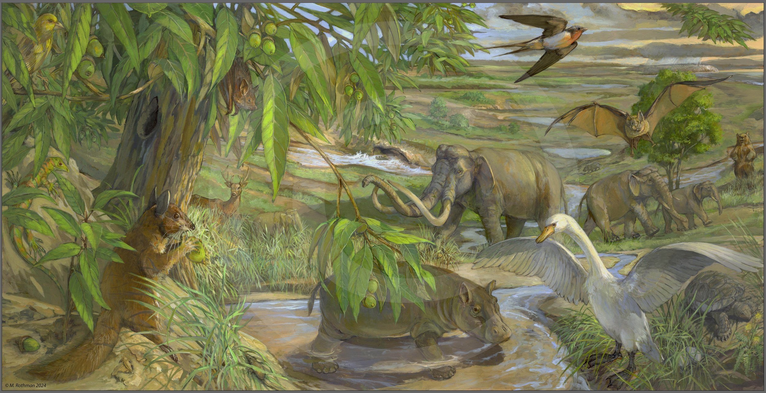 Għar Dalam Ice Age habitat group on Malta