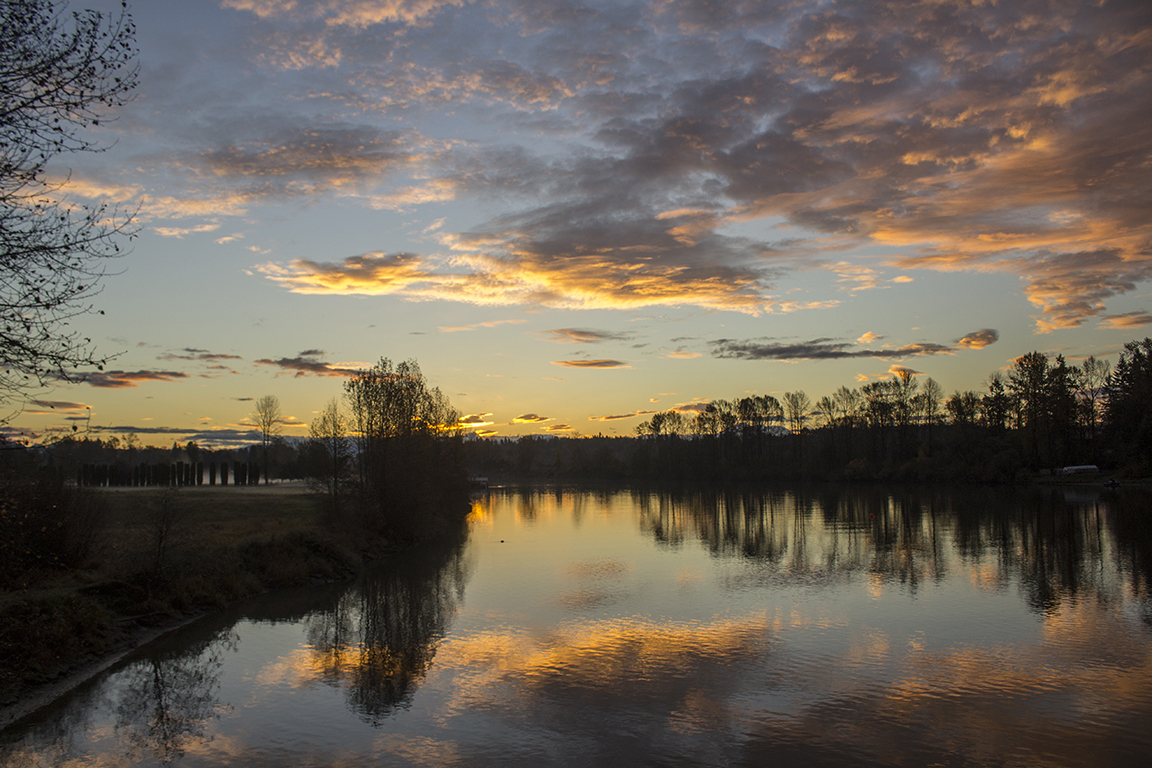 _MG_5429.jpg