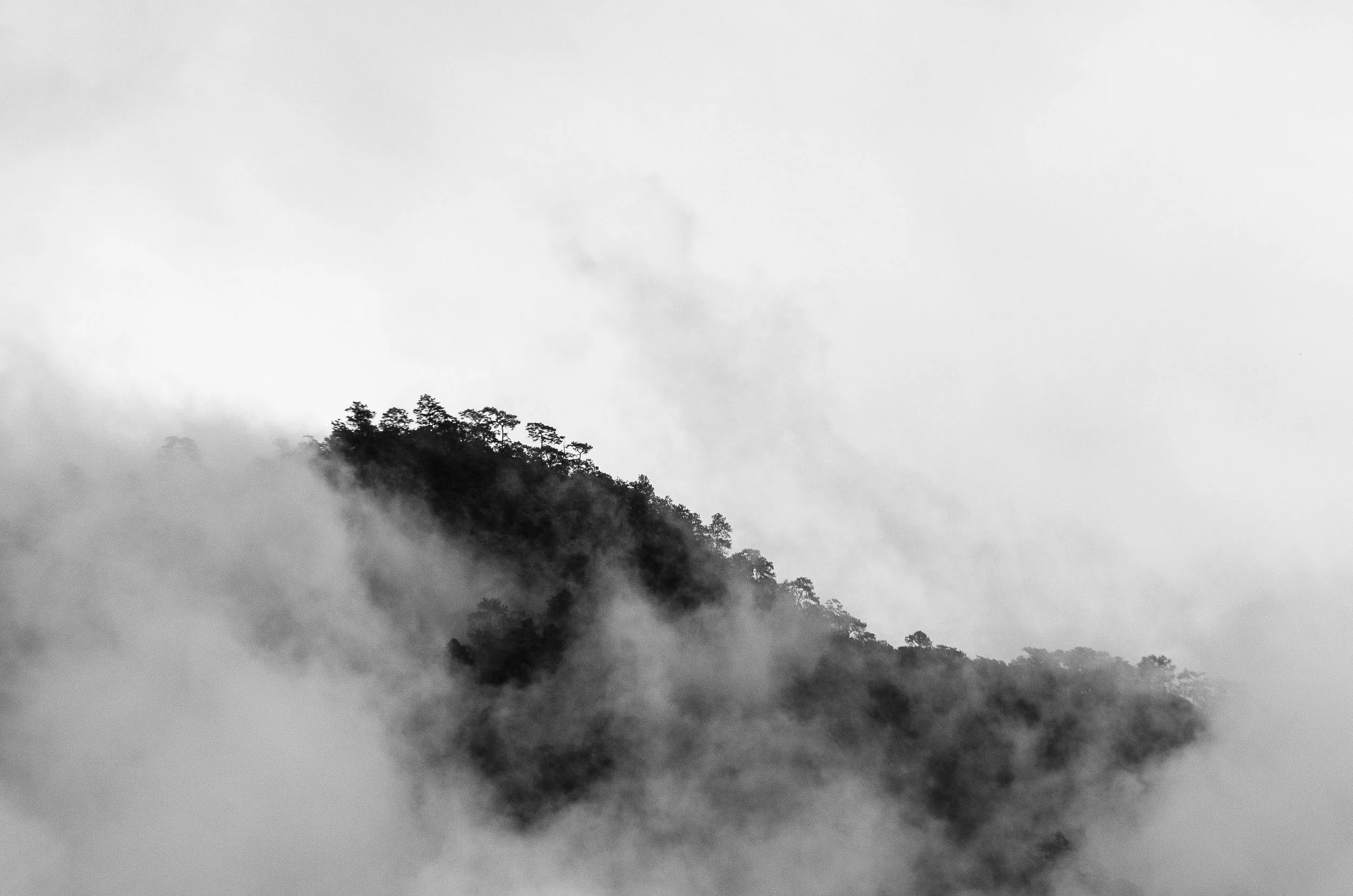 2011.08.25_Landscape_MarcFiorito_9773.jpg