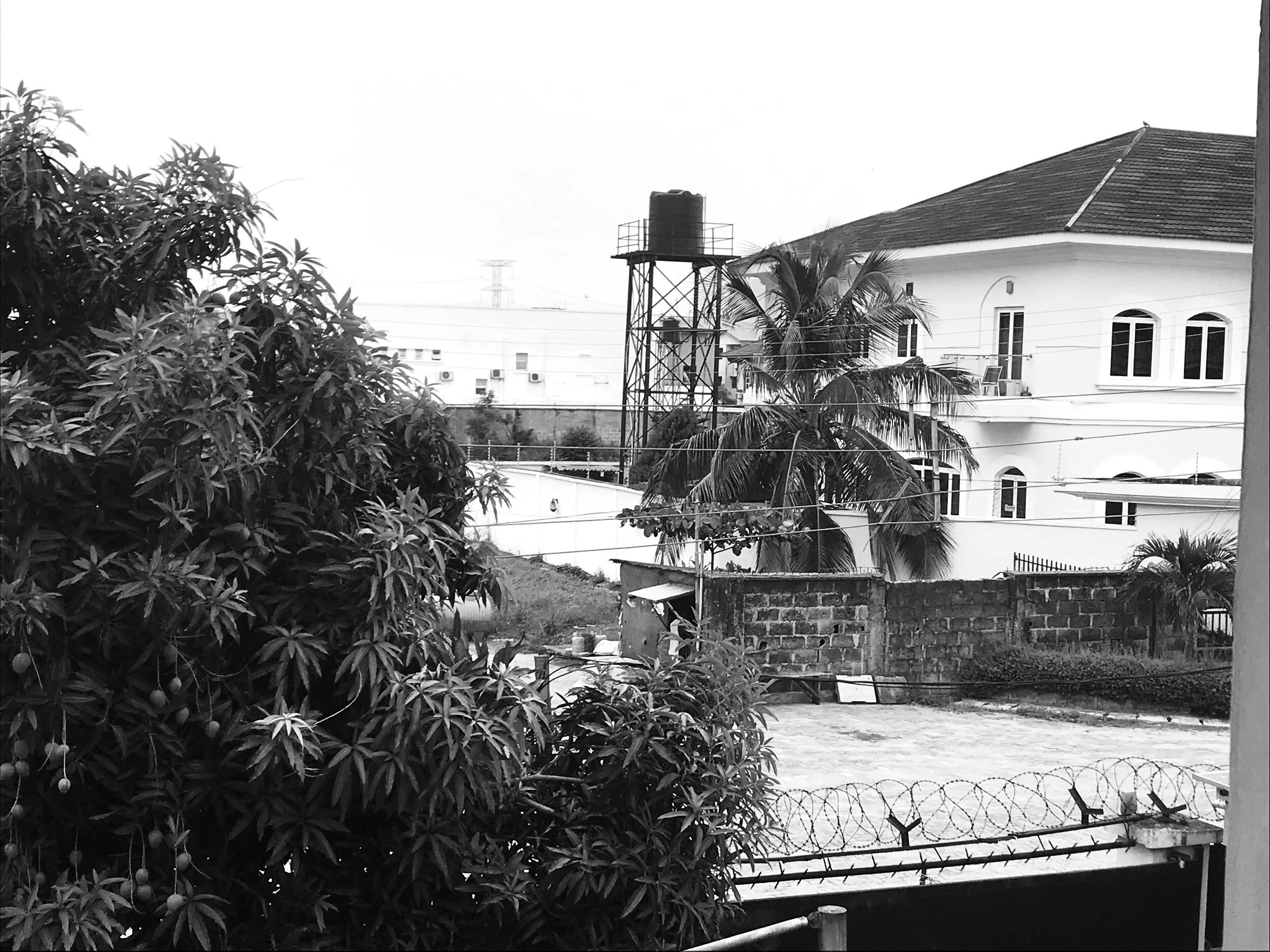 441571E7-88D6-4AB8-8FEF-DF0A8F721E5E (1).jpeg