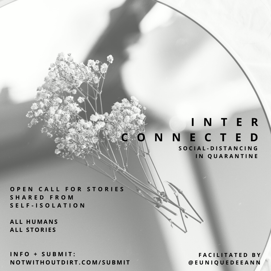 interconnected-notwithoutdirt-projects-3.20.png