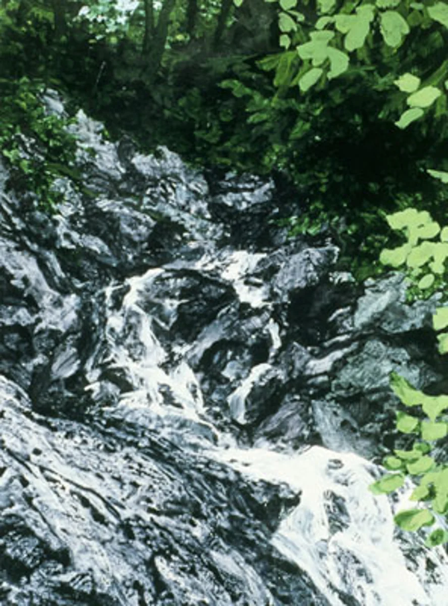 Bittercreek Falls II