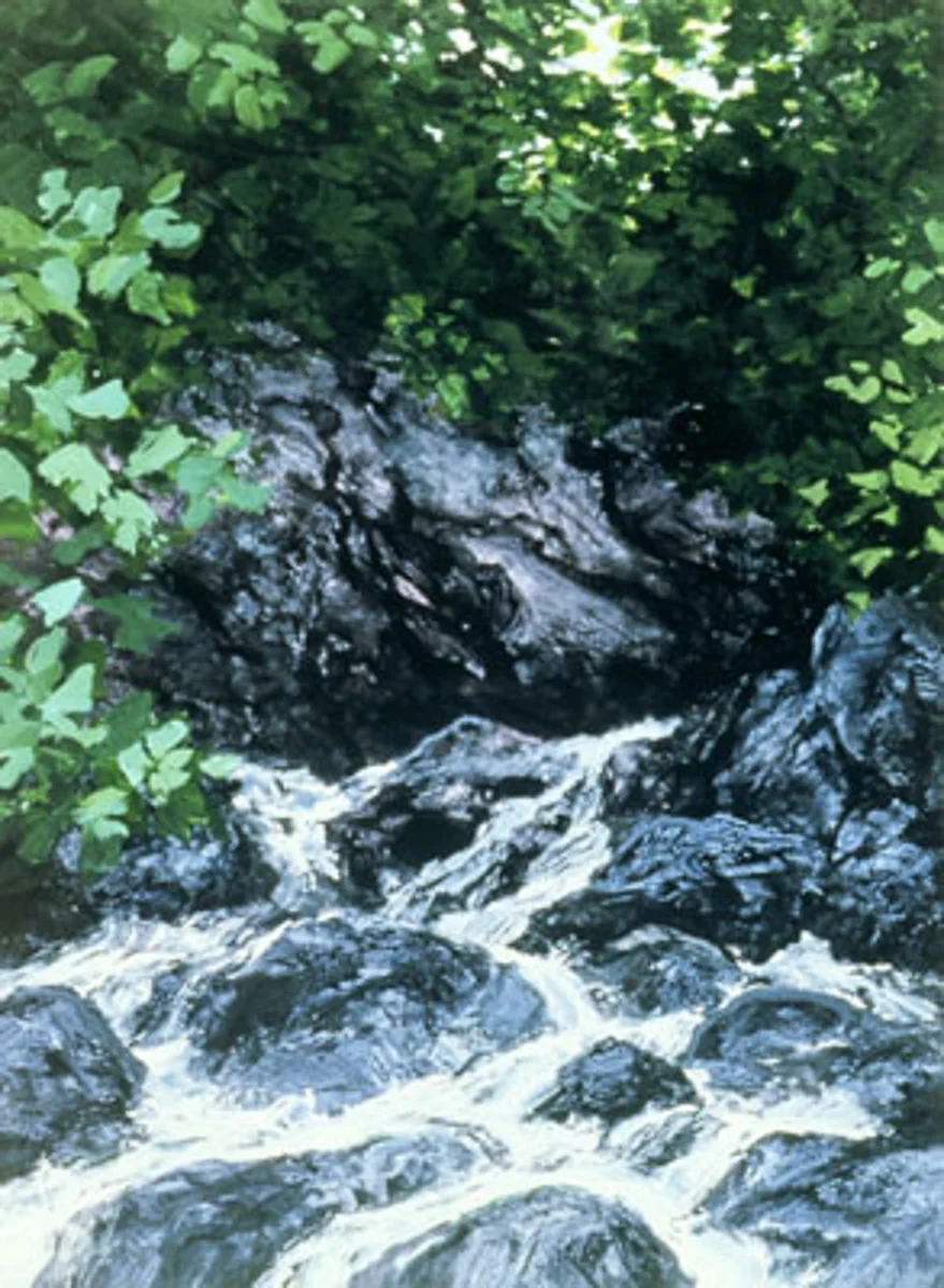 Bittercreek