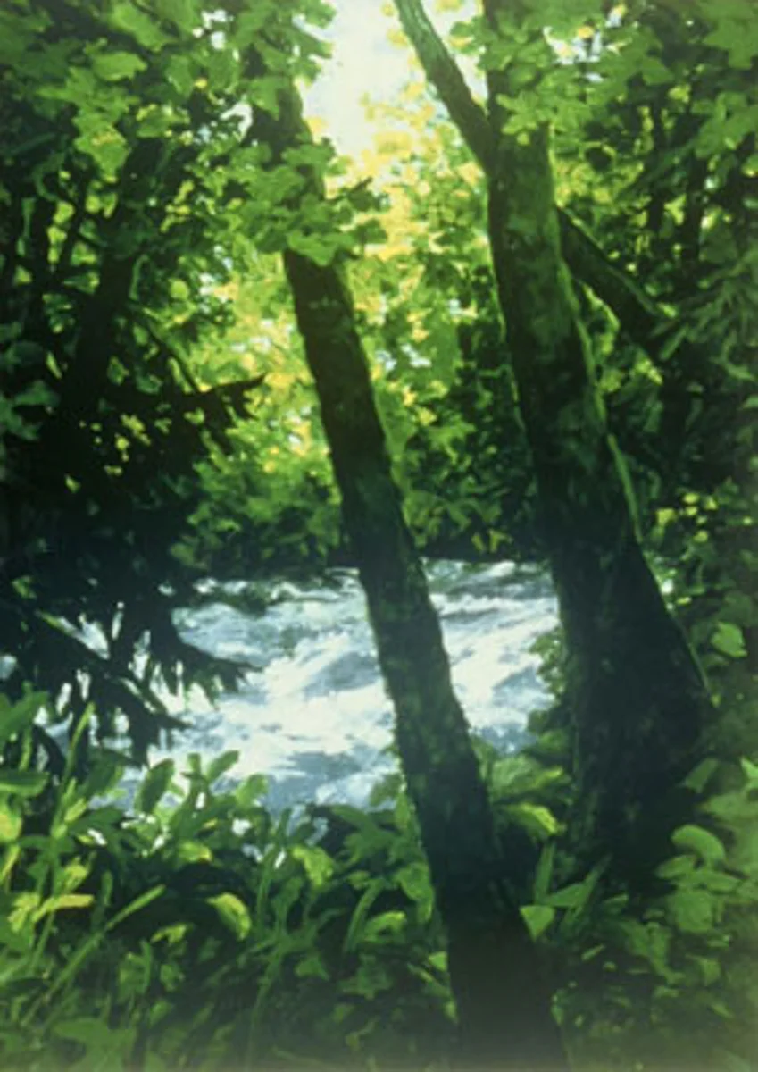 Youngs Creek I