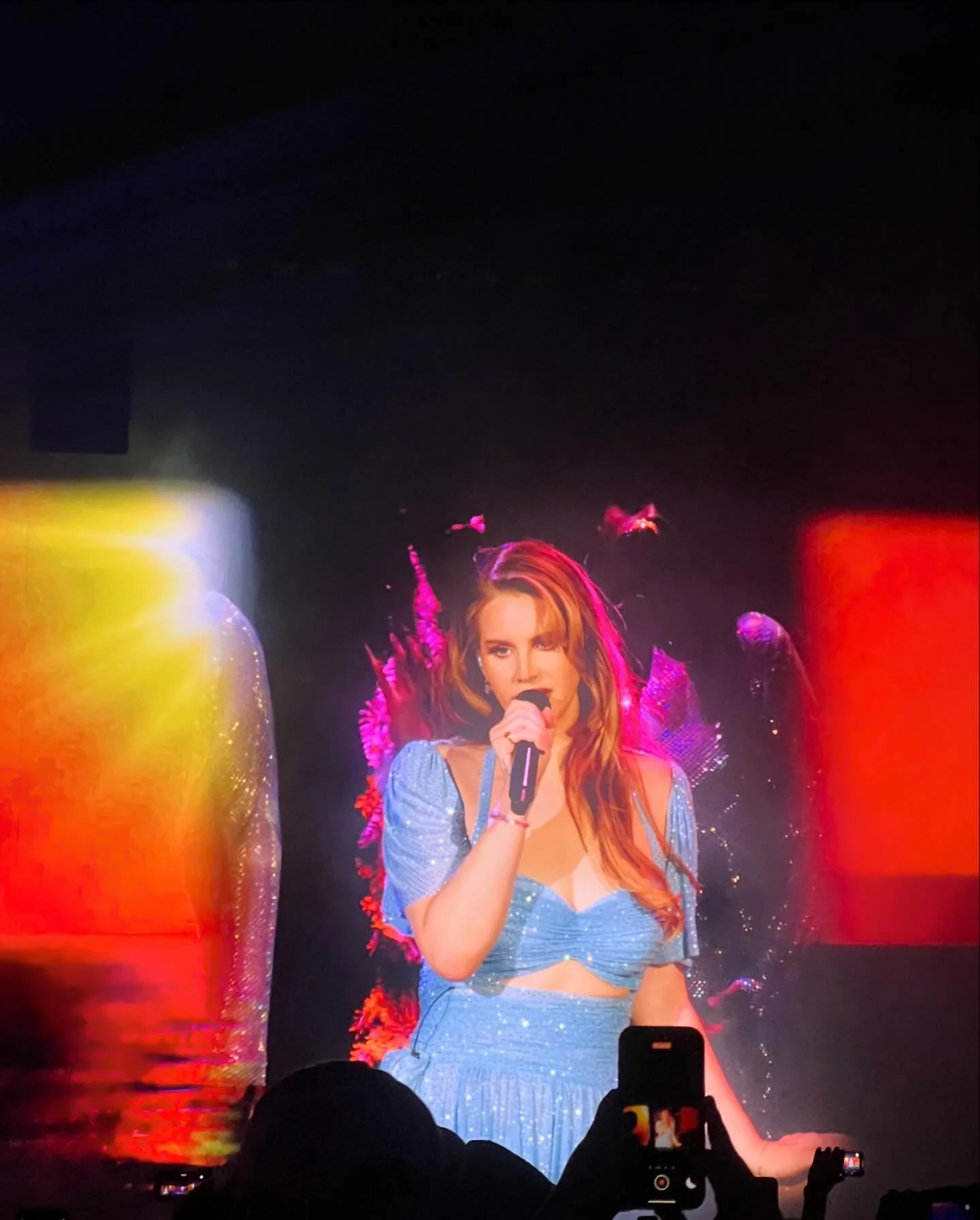 it&rsquo;s never too late, to be who you wanna be @honeymoon 

#lanadelrey #coachella2024