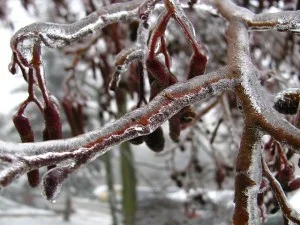 winter-216551_640.jpg