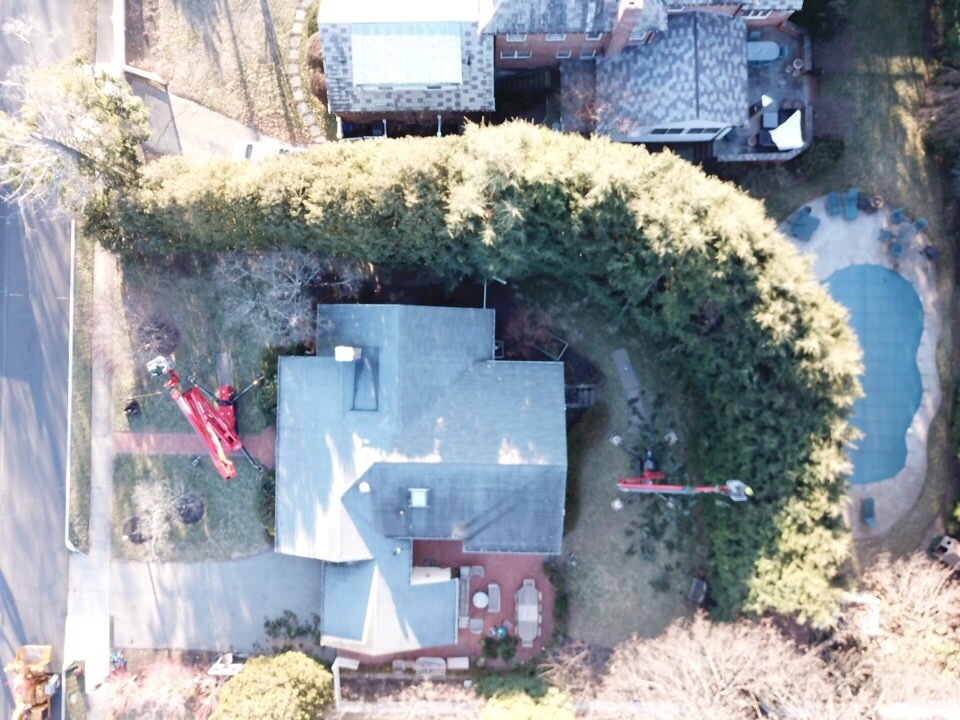 FRont_and_back_yard_hedge_prune.jpg