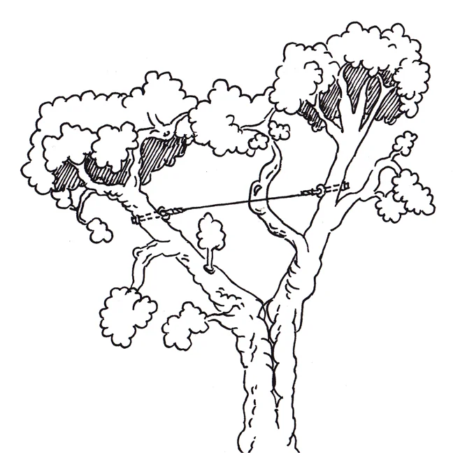 cable-tree-illustration_0001b.jpg