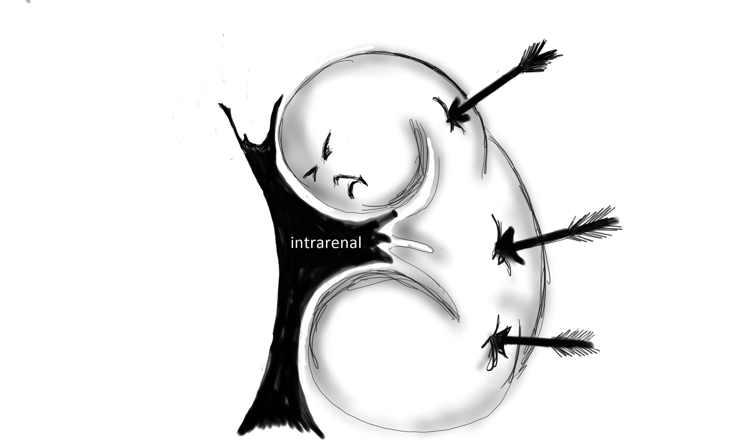 https://i.etsystatic.com/33797641/r/il/adb3c1/3653747238/il_fullxfull.3653747238_rrar.jpg