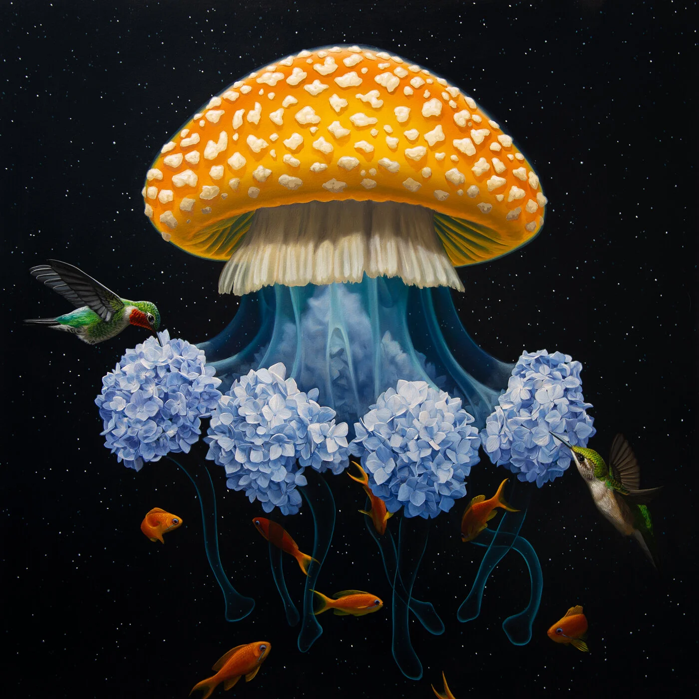'Domyces' by Jon Ching