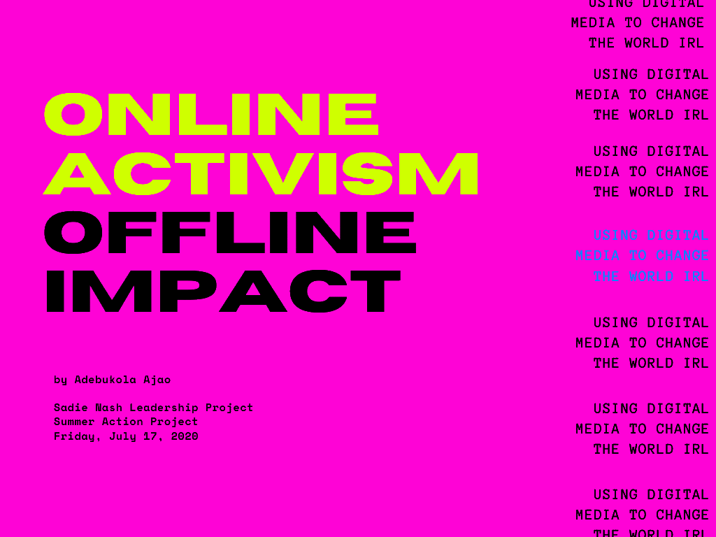 Sadie Nash Leadership Project 