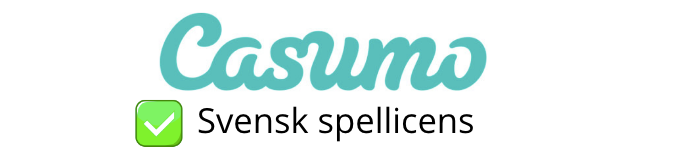 Svensk spellicens.png