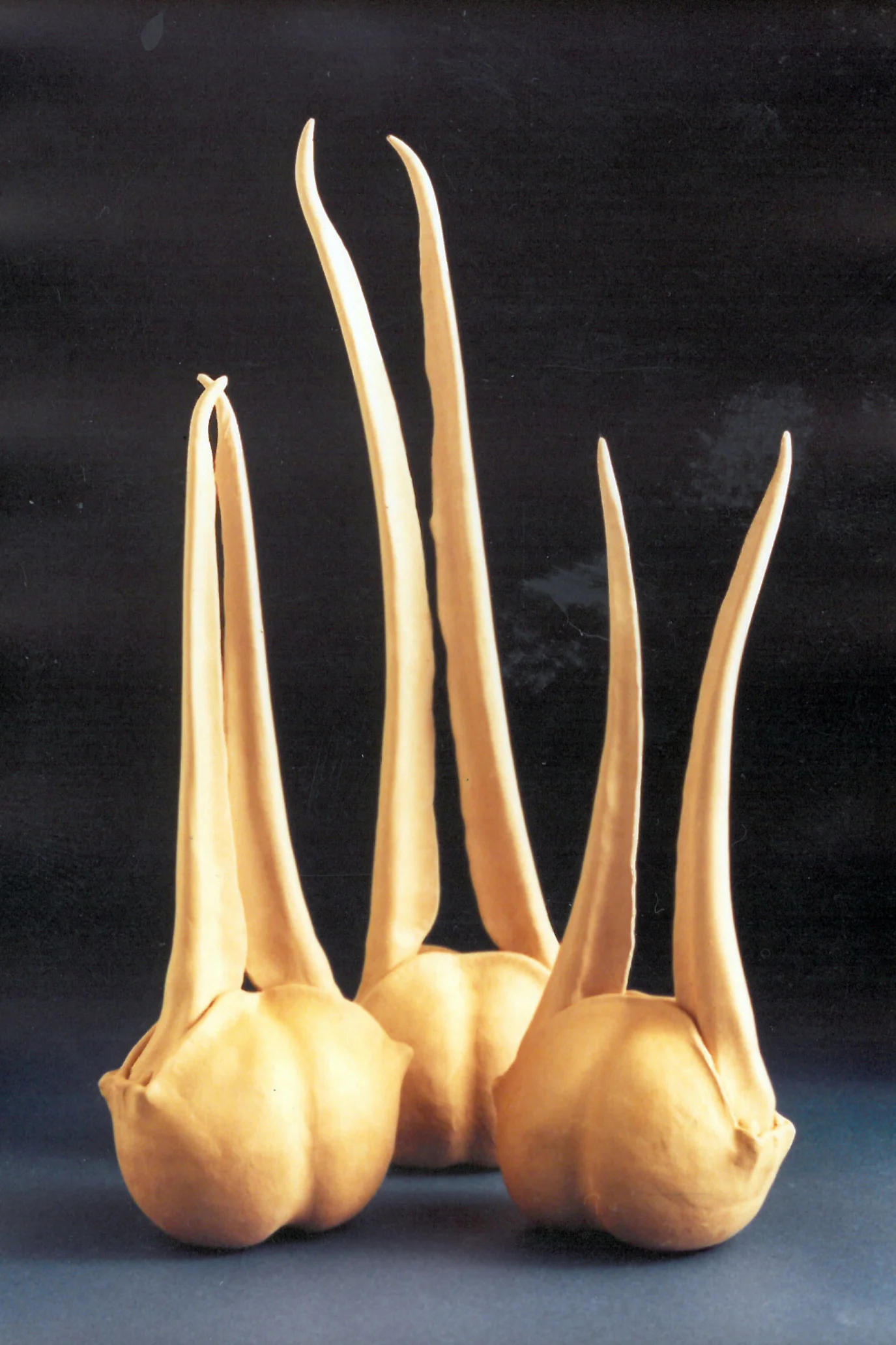 Sculptural Vessels