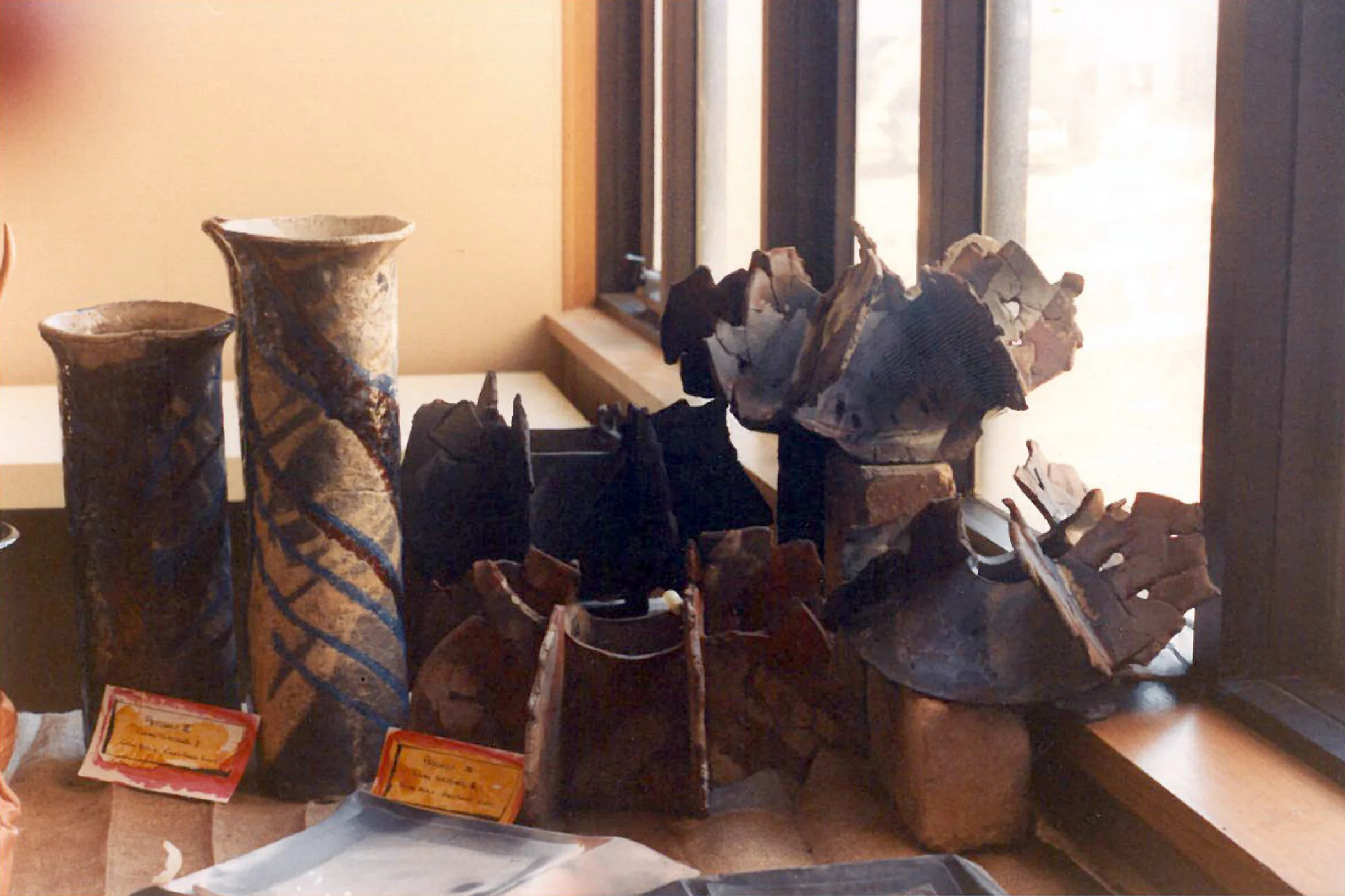 First Year Submission. General View.